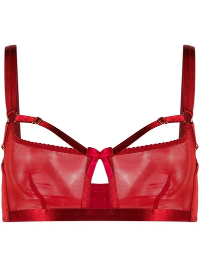 Shop Bordelle Sheer Bra In Red