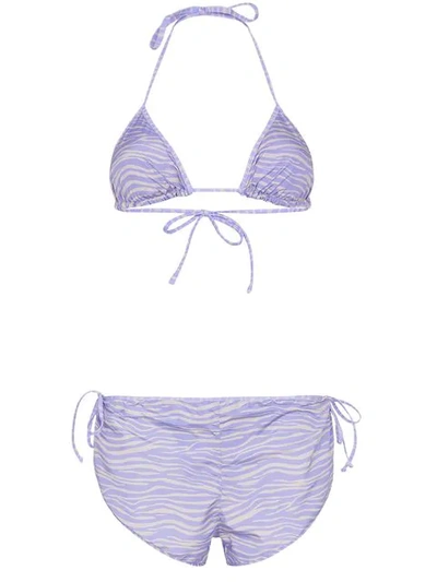 Shop Ack Nautico Tiger Print Bikini In Purple