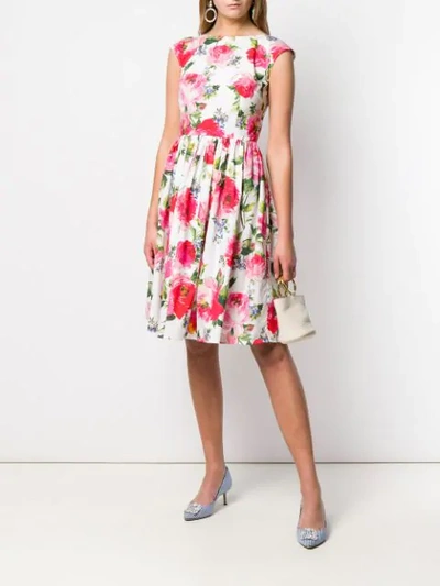 Shop Dolce & Gabbana Rose Print Dress In White