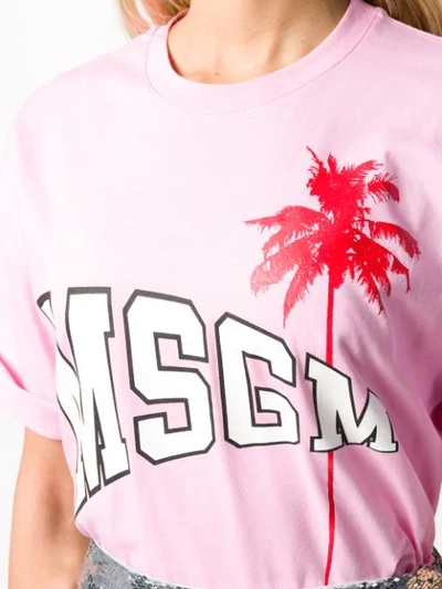 Msgm Logo Palm Tree T-shirt In Pink