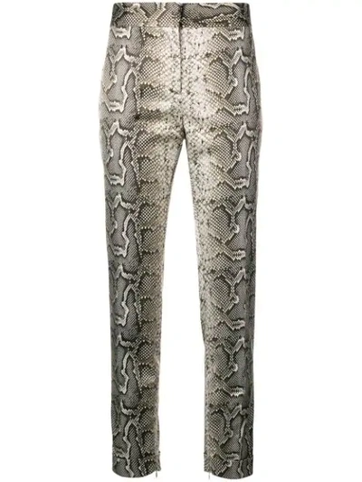Shop Tom Ford Python Printed Tailored Trousers In Neutrals