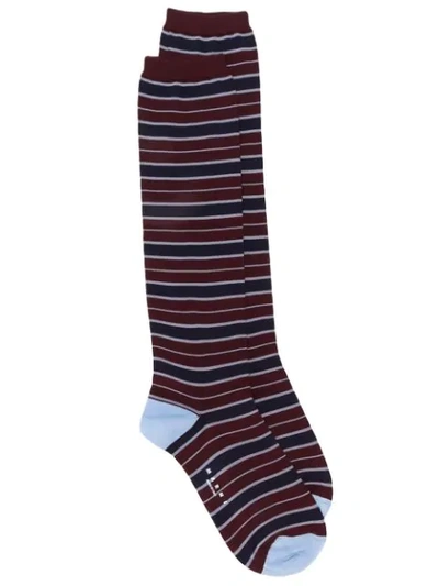 Shop Marni Striped Socks In Rgr90 Burgundy