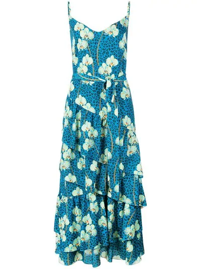 Shop Borgo De Nor Animal Floral Print Dress In Blue