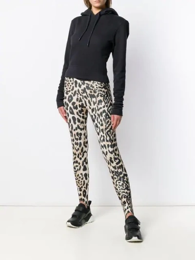 Shop Paco Rabanne Leopard Print Leggings In Neutrals