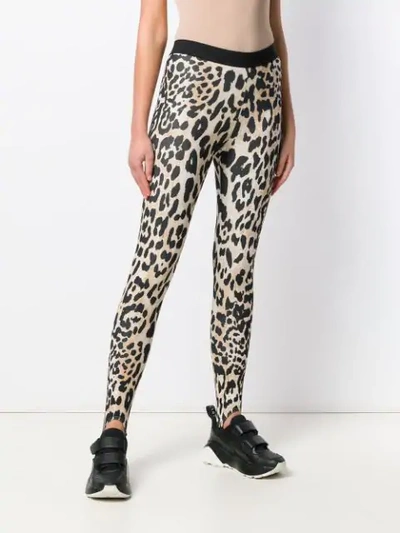 Shop Paco Rabanne Leopard Print Leggings In Neutrals