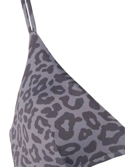 Shop Sian Swimwear Leopard Print Swim Set In Grey