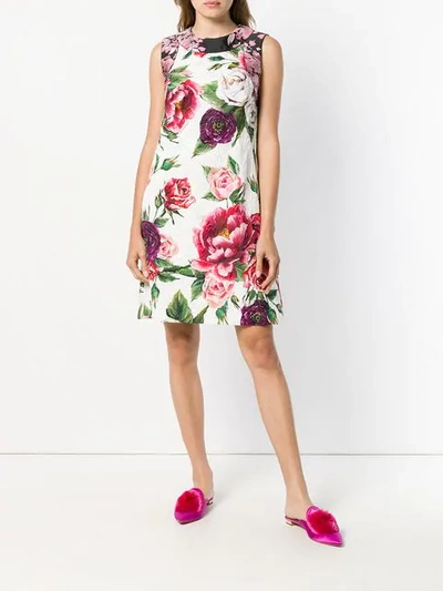 Shop Dolce & Gabbana Peony-print Dress In White