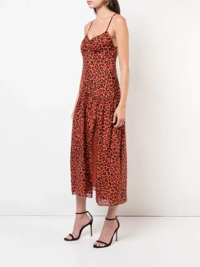 Shop Michelle Mason Leopard Print Midi Dress In Red
