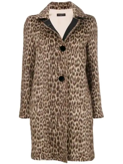 Shop Antonelli Guendalina Leopard Coat - Brown