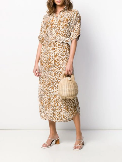 Shop Zimmermann Leopard Print Safari Dress - Brown