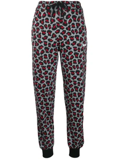 Shop Msgm Leopard Print Track Pants In Grey