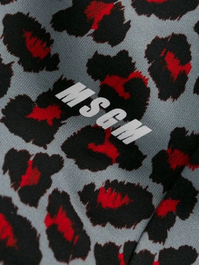 Shop Msgm Leopard Print Track Pants In Grey