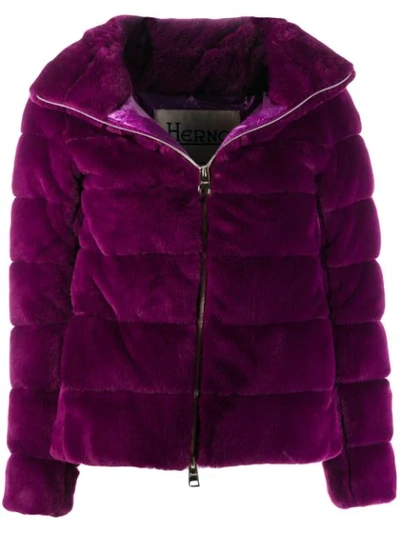 Shop Herno Quilted Faux-fur Jacket In Purple