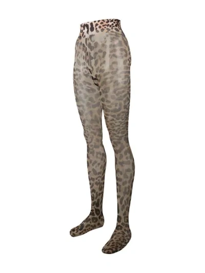 Shop Paco Rabanne Leopard Print Tights In Neutrals