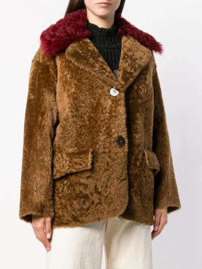 Shop Sylvie Schimmel Oversized Collar Shearling Coat - Brown