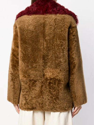 Shop Sylvie Schimmel Oversized Collar Shearling Coat - Brown
