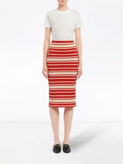 Shop Prada Striped Pencil Skirt - Red