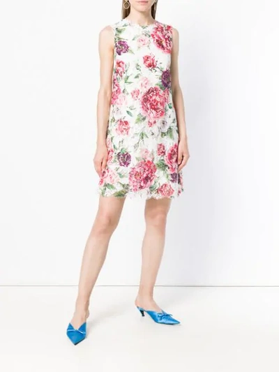 Shop Dolce & Gabbana Floral Print Dress In White
