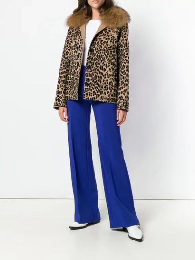 Shop P.a.r.o.s.h Leopard Print Jacket In 800 Maculato