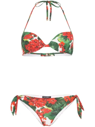 Shop Dolce & Gabbana Floral Print Bikini In Red