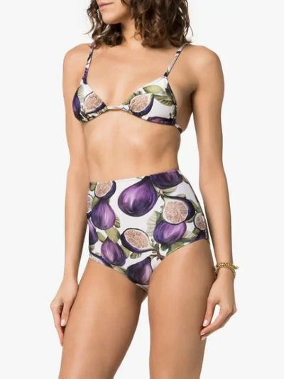 Shop Adriana Degreas Fig Print High Waist Bottom Bikini In Purple
