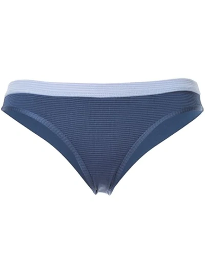 Shop Duskii Cha Cha Bikini Bottoms In Blue