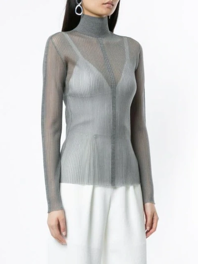 Shop Dion Lee Sheer Fitted Top In Grey