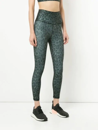 Shop Nimble Activewear Leopard Print Leggings - Green