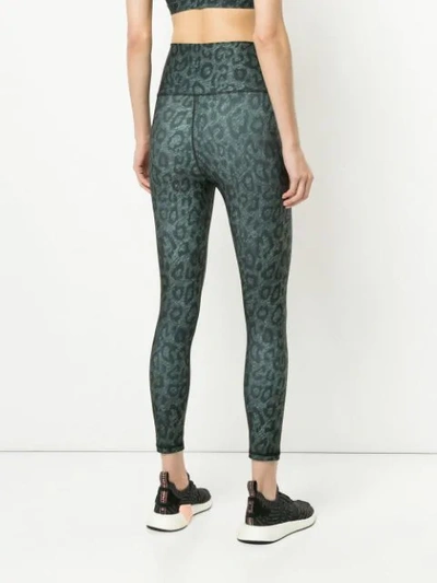 Shop Nimble Activewear Leopard Print Leggings - Green