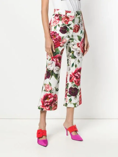 Shop Dolce & Gabbana Peony Print Cropped Trousers In Har40 Peonie Fdo Panna