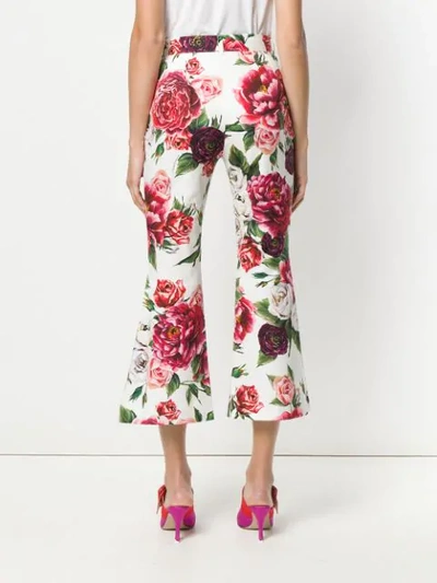 Shop Dolce & Gabbana Peony Print Cropped Trousers In Har40 Peonie Fdo Panna