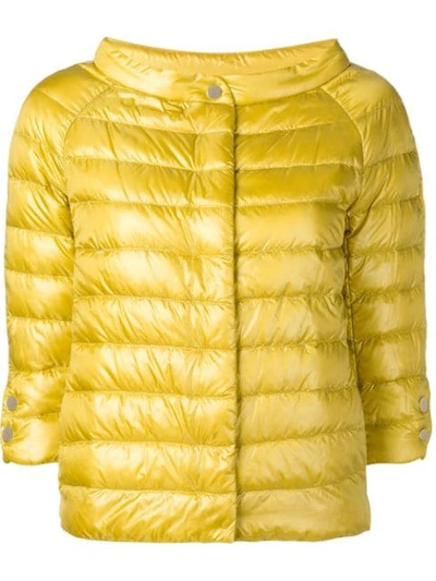 Shop Herno Quilted Jacket In Yellow