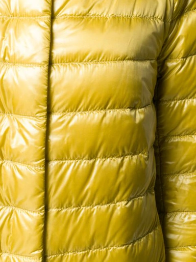 Shop Herno Quilted Jacket In Yellow