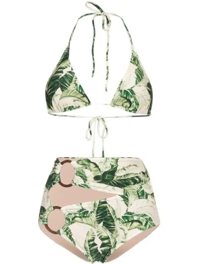 Shop Adriana Degreas Tropical Print Hoop-embellished Bikini In Green