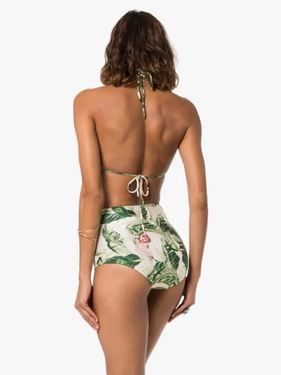 ADRIANA DEGREAS TROPICAL PRINT HOOP-EMBELLISHED BIKINI - 绿色