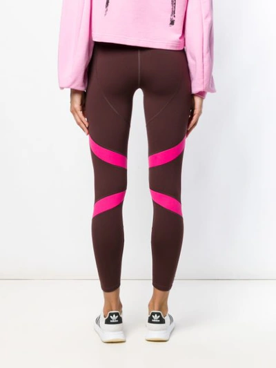 Shop Adidas Originals Workout Tights In Brown