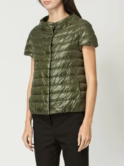 Shop Herno Shortsleeved Puffer Jacket In Green