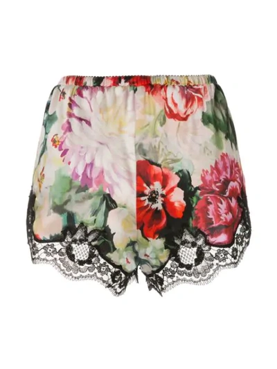 Shop Dolce & Gabbana Floral Print Shorts In Red