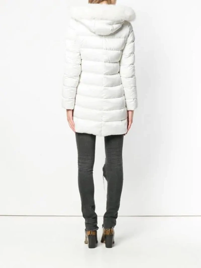 Shop Herno Puffer Jacket In White