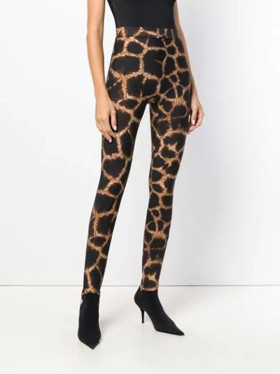 Shop Dolce & Gabbana Giraffee Printed Trousers - Brown
