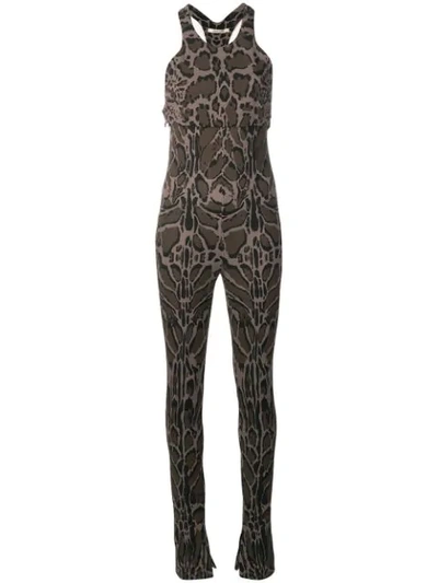 Shop Roberto Cavalli Animal Print Playsuit In Purple