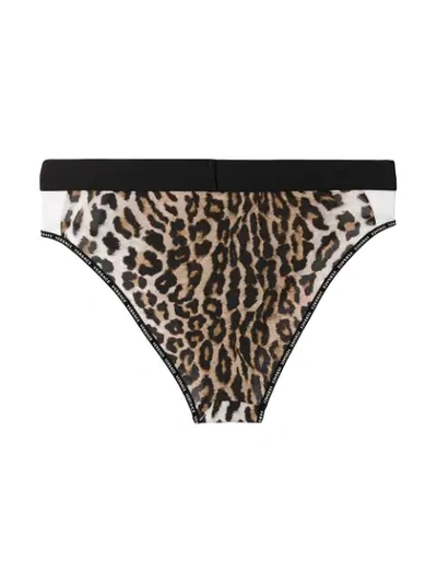 Shop Versace Leopard High-leg Briefs In Brown ,black