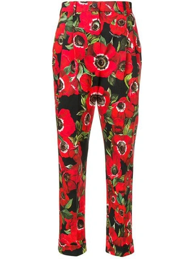 Shop Dolce & Gabbana Floral Print Trousers In Red