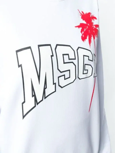 Shop Msgm Palm Tree Logo Sweatshirt In White