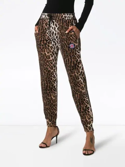 Shop Versace Leopard Print Joggers In A7008 Multicolor
