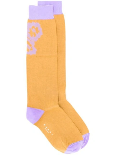 Shop Marni Flower Intarsia Socks In Yellow
