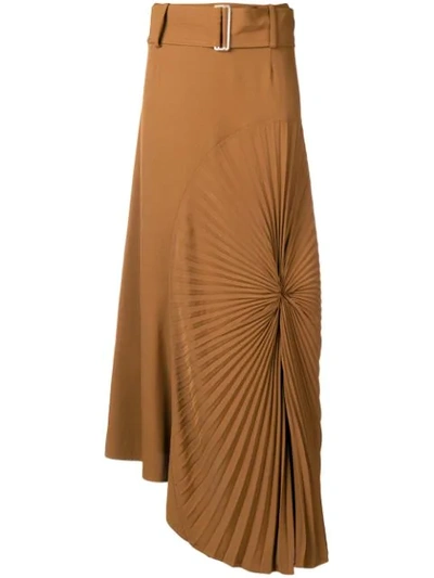 Shop Victoria Beckham Pleated Circle Skirt In Brown