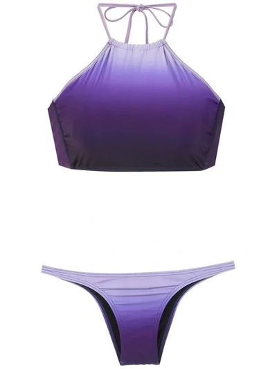 Shop Amir Slama Bikini Top In Purple