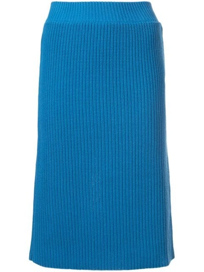 Shop Calvin Klein 205w39nyc Ribbed Knitted Skirt - Blue