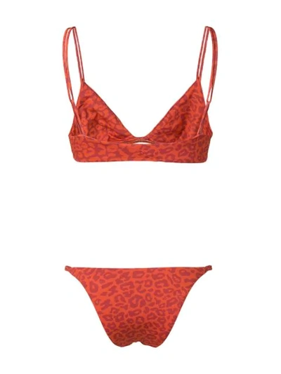 Shop Sian Swimwear Leopard Print Swim Set In Orange